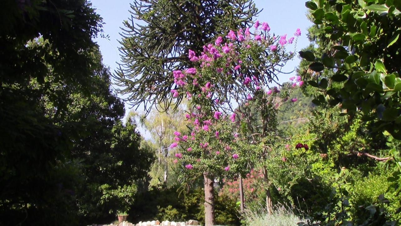Casa Della Gioia Villa Castelveccana Екстериор снимка